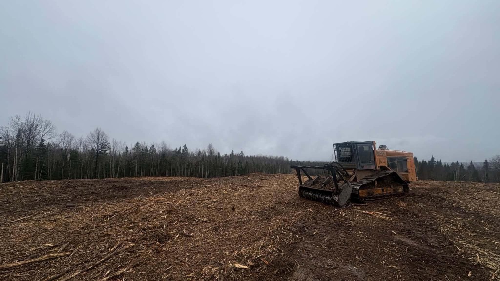 Machinerie FJS sur un vaste terrain forestier préparé